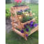 Jardin vertical en bois Rosie