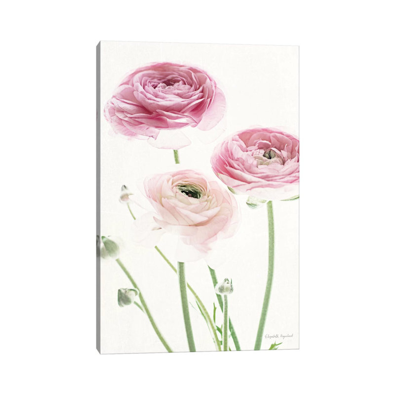 Light And Bright Floral VI by Elizabeth Urquhart - Wrapped Canvas Painting, 66.04 cm H x 45.72 cm W x 3.175 cm D