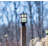 Luz Lantern Head-31460734-31460731