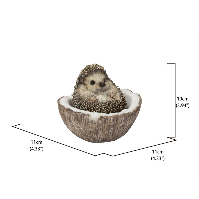 Coconut Hedgehog
