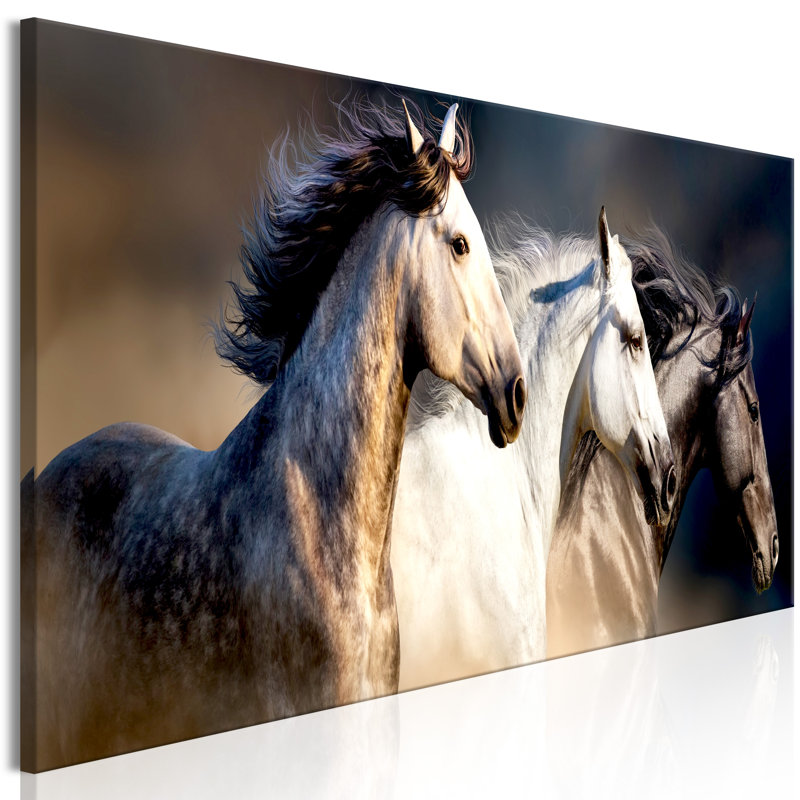 No Frame Print on Canvas, 150cm H x 50cm W