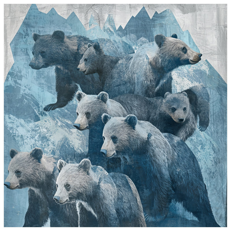 Bears In Mountain Landscape Housses de couette, Grand lit