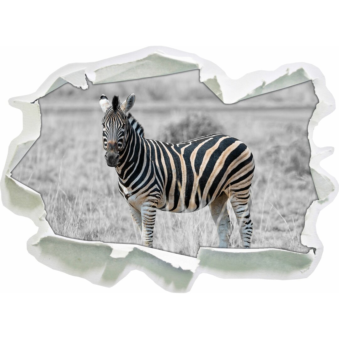 Wandtattoo Einzelnes Zebra im Wildgras