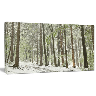«Spring Beech Forest Scenery», reproduction de photo sur toile tendue