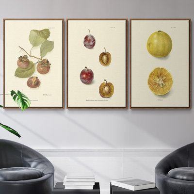 " Persimmon II " 3 - Pieces