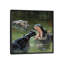 «Hippos in Water», impression sur toile-29479808-73648593-73648594