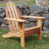 Cedar Stain selected