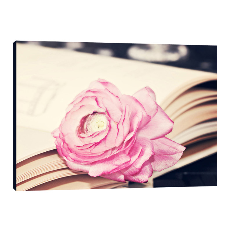 Ranuculis in Book 1 Piece Wrapped Canvas Wall Art, 61cm H x 76cm W x 4cm D