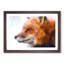 Profile of a Red Fox - Framed Print-56758551-56758554