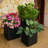 Kute Nest Indoor/Outdoor H11.5" Cubo Fiberstone Planter - Tricorn Black - Pot Opening 9"-2110195491-2110195500