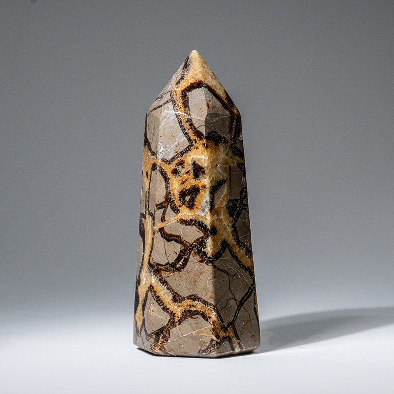 Genuine Polished Septarian Point from Madagascar (1.3 Lbs)