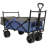 Collapsible Foldable Wagon With Canopy