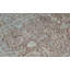 Hand Woven Wool Oriental Area Rug