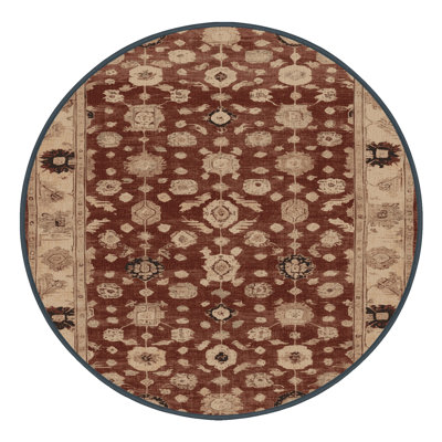 Machine Washable Overdyed Brown Area Rug