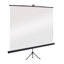 Projector Screens