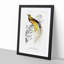 Bird Of Paradise by Charles D' Orbigny - Single Picture Frame Painting-55457067-55457065