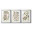 Sépia Botanical Journal I - Impression encadrée sur mesure de qualité supérieure - 3 pièces-718507809