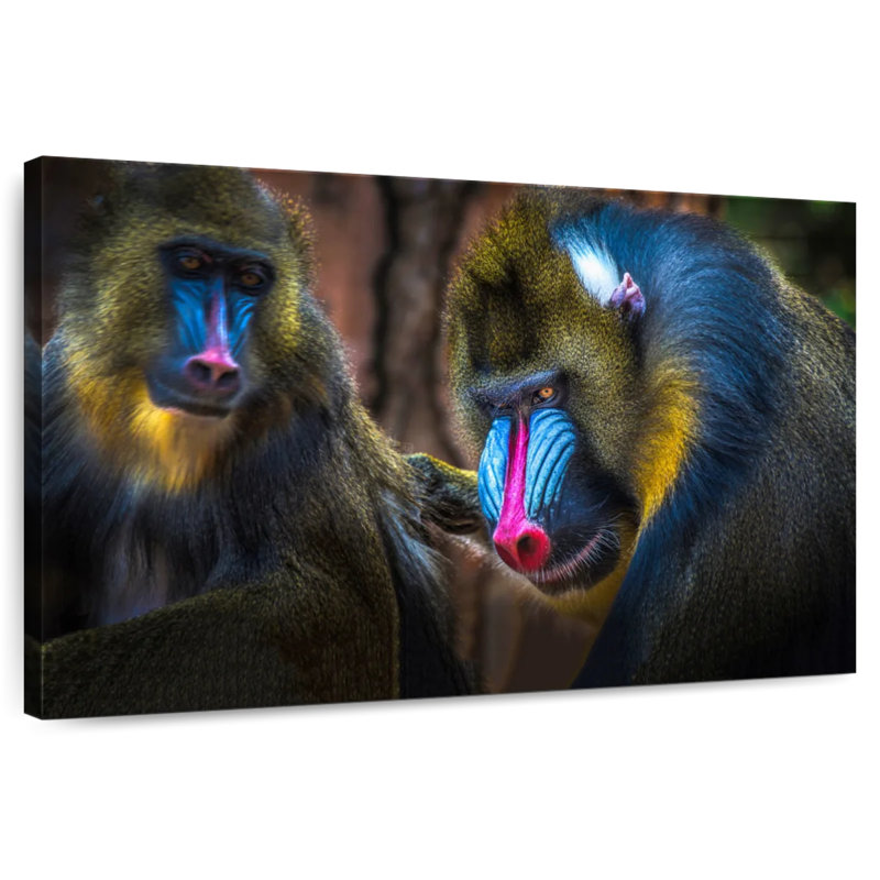 Two Mandrill Monkeys, 32" H x 48" W