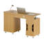 Chandler Computer Desk-37190099