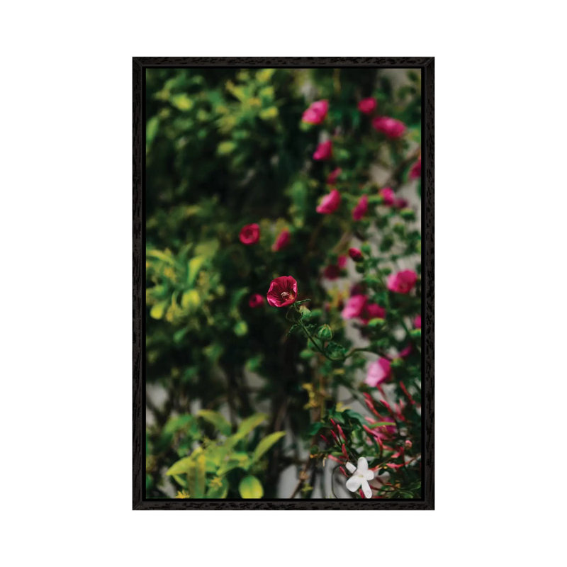Positano Blooms IV by Bethany Young - Print on Canvas, 101.6cm H x 66.04cm W x 3.81cm D, Black Framed