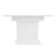 Extendable Dining Table-1795985630