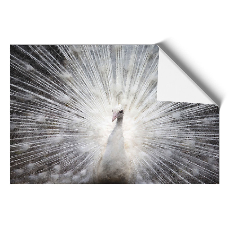 White Peacock Painting - Frameless Print, 42cm H x 59cm W x 0.1cm D