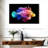 Brampt Rainbow Lionfish-107843123