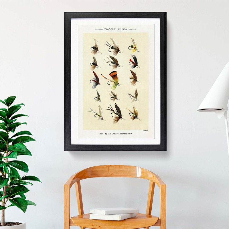 Trout Fishing Flies Version 6 by Mary Orvis Marbury - Picture Frame Painting Print, 50cm H x 35cm W x 2cm D, Black