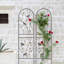 Treillis en métal pour jardin-481118211