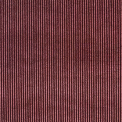 Cristobal Velvet Fabric