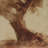 Undone Cypress by Coup D'esprit-98495993