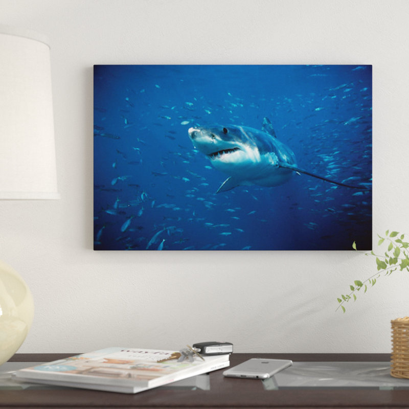 " Great White Shark Swimming Through A School Of Fish, Neptune Islands, South Australia " by Mike Parry, No Mat