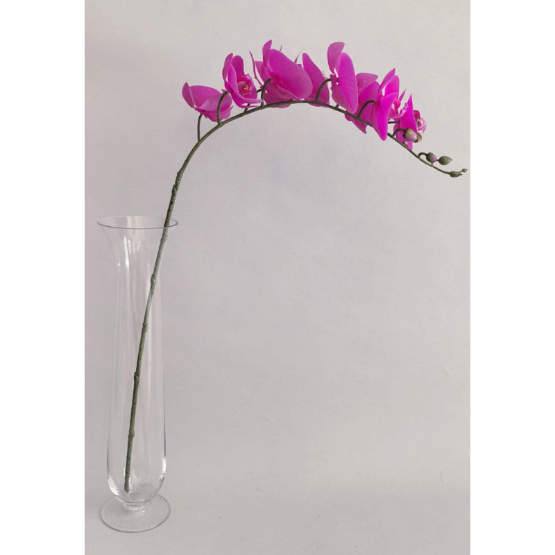 PHALAENOPSIS*9 FLEURS, Mauve, H 30 po x l 5 po