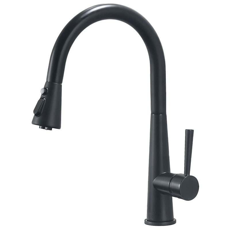 OAKLAND Single Handle Pull Down Kitchen Faucet, Matte Black