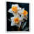Cadre flottant blanc