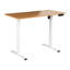 Adjustable Metal Base Standing Desk