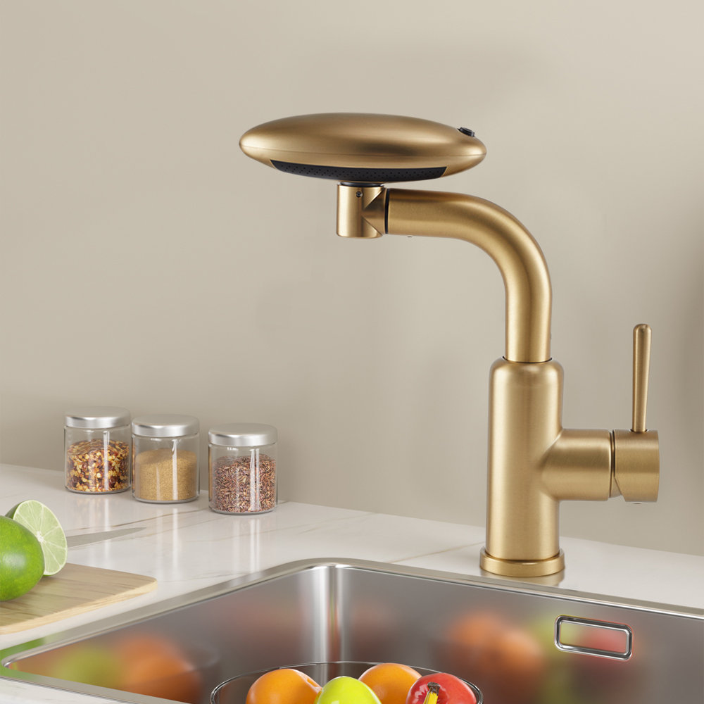 Pull-out Sprayer Retractable Kitchen Faucet with 4 Modes