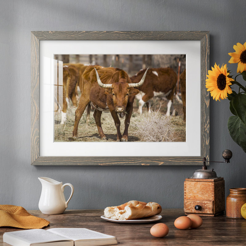 Longhorns, Gris, H 18 po x l 26 po x P 1,5 po