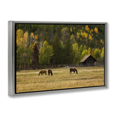 Cadre flottant Horses In Jackson Hole, design par Scott Stulberg