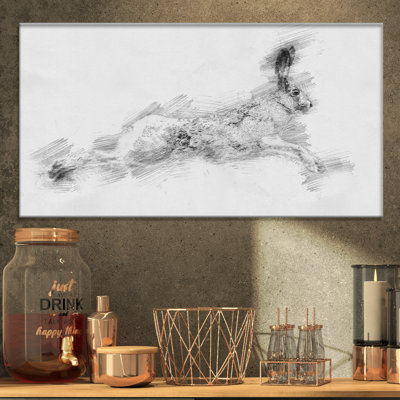 " Black And White Hare "