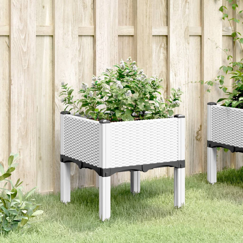 Omaida Planter Box, White