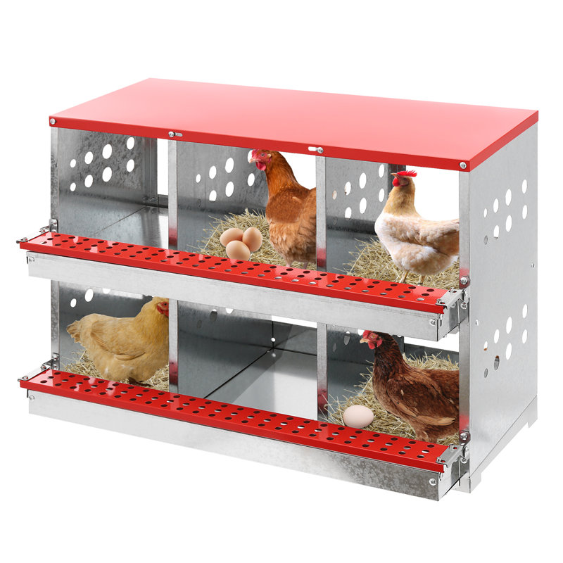 Poulailler Fusae avec nichoir pouvant accueillir jusqu'à 6 poulets