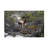 Bolog Bob Langrish Steenbok Canvas Art-104136917