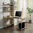 Audronė Metal Base Computer Desk