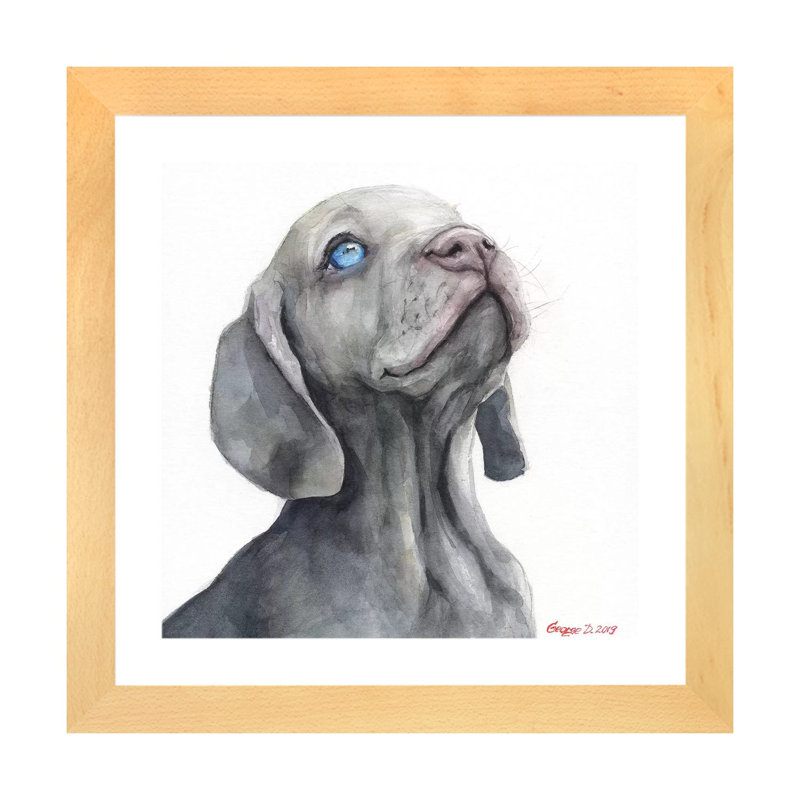 Chiot Weimaraner par George Dyachenko - reproduction d'art, H 24 po x l 24 po x p 1 po, Papier encadré de bois naturel, Blanc