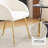Lashann 18.5'' H Fabric Upholstered Metal Armchair-9353740-53750196-9353743