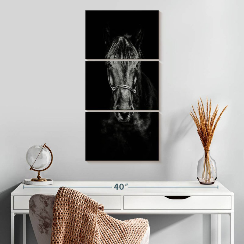 Cheval noir de près