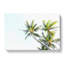 Tropical Palm Trees - Wrapped Canvas Painting-56644950