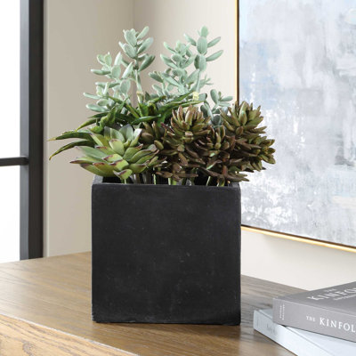 Uttermost Greystone Indoor-Outdoor Succulent