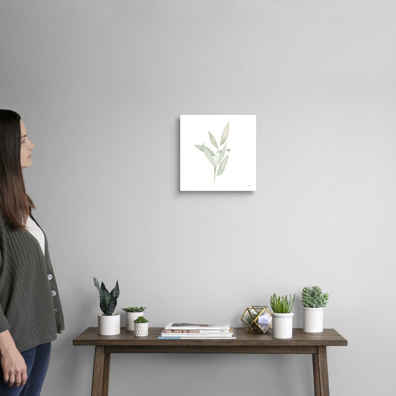 Art mural sur toile Sage II, Toile tendue, H 12 po x l 12 po